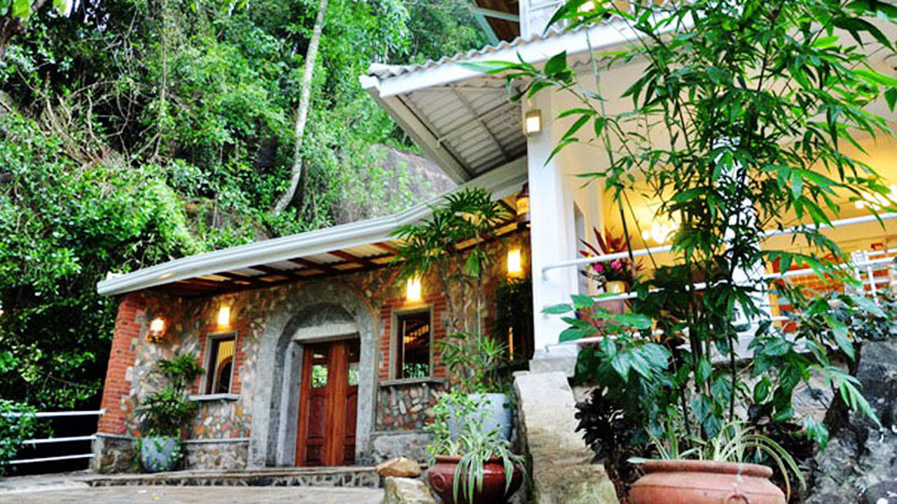 Окраина леса, Китулгала