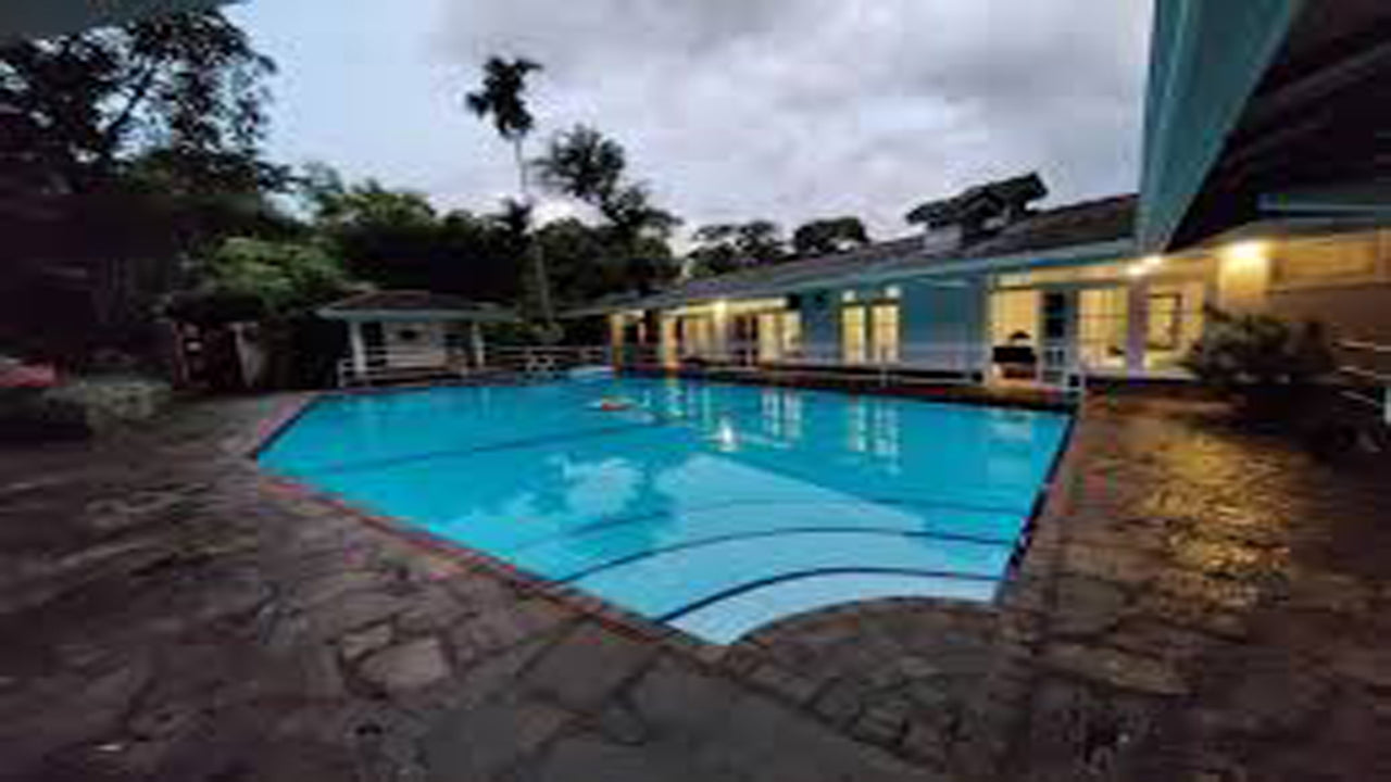 Окраина леса, Китулгала