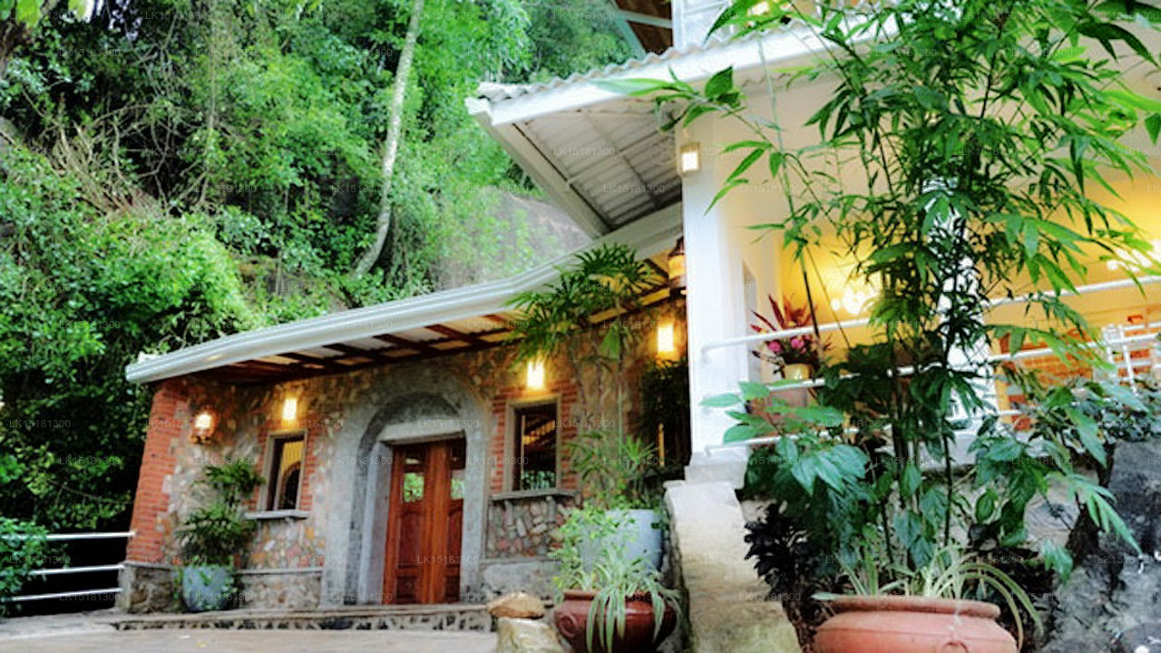 Окраина леса, Китулгала