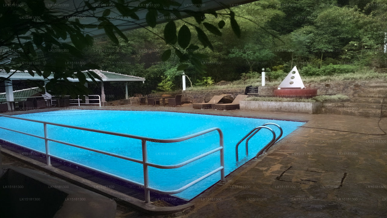 Окраина леса, Китулгала