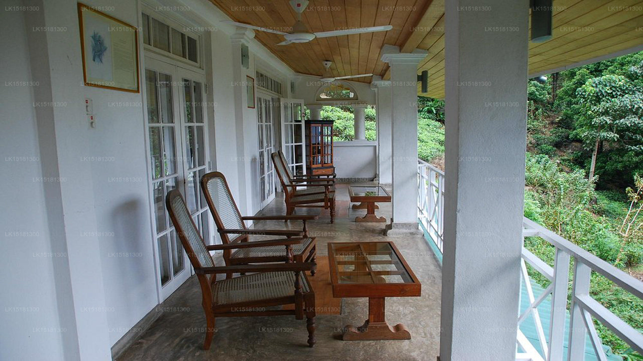 Окраина леса, Китулгала