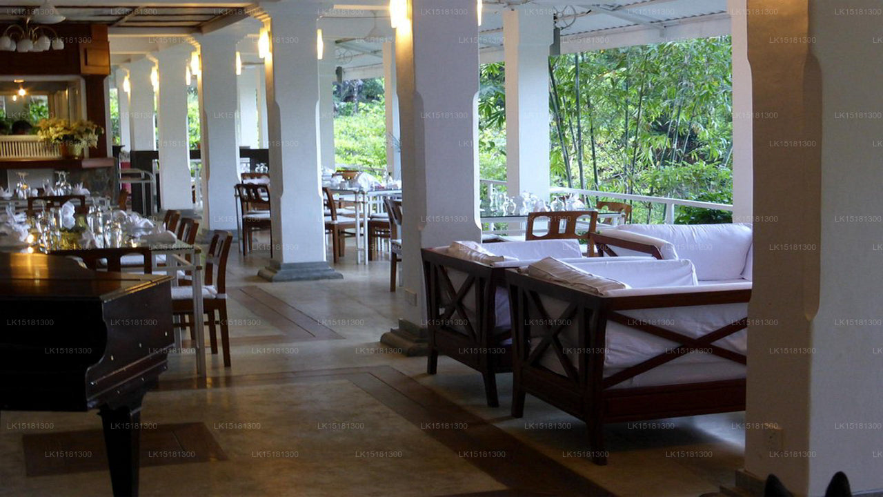 Окраина леса, Китулгала