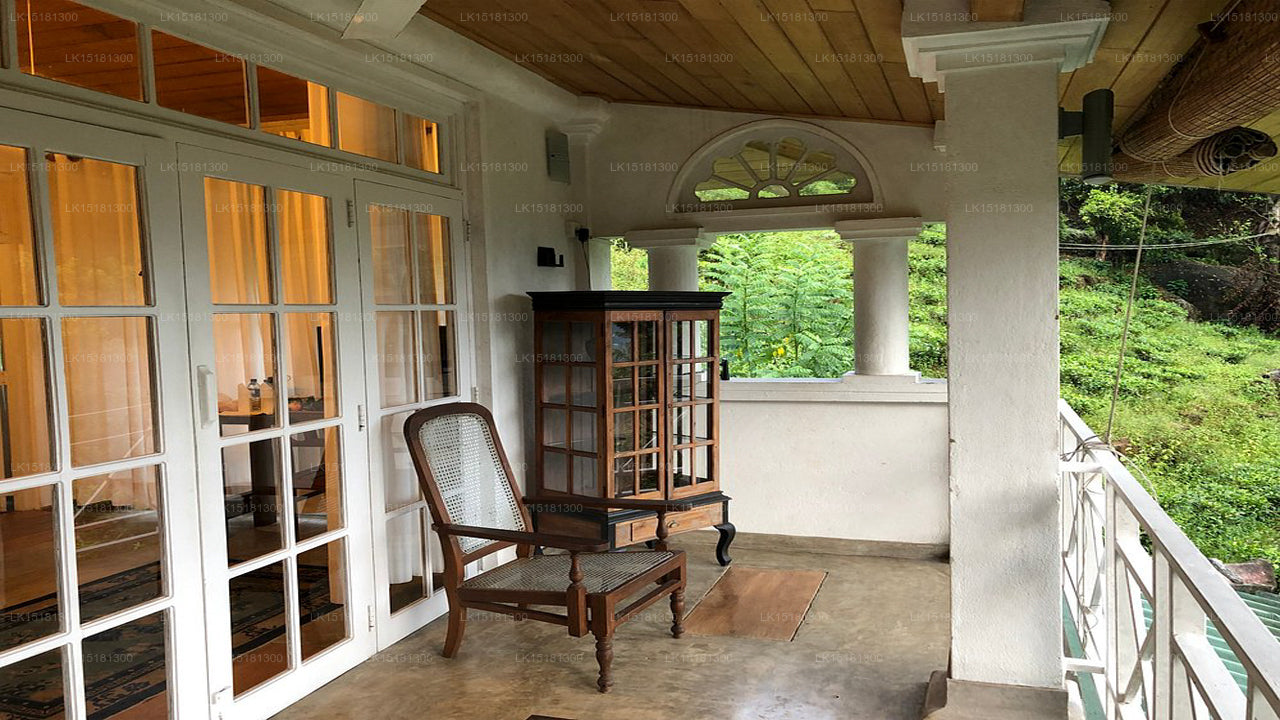 Окраина леса, Китулгала