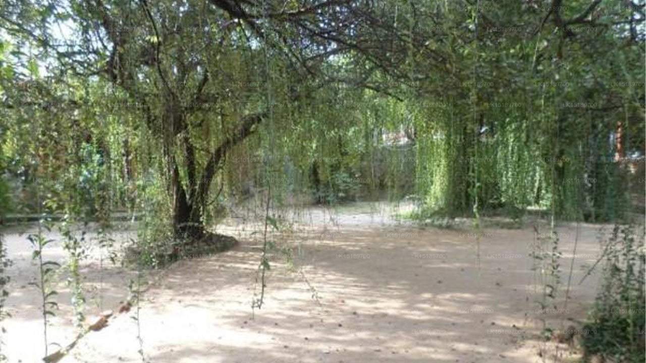 Clay Hut Village, Polonnaruwa