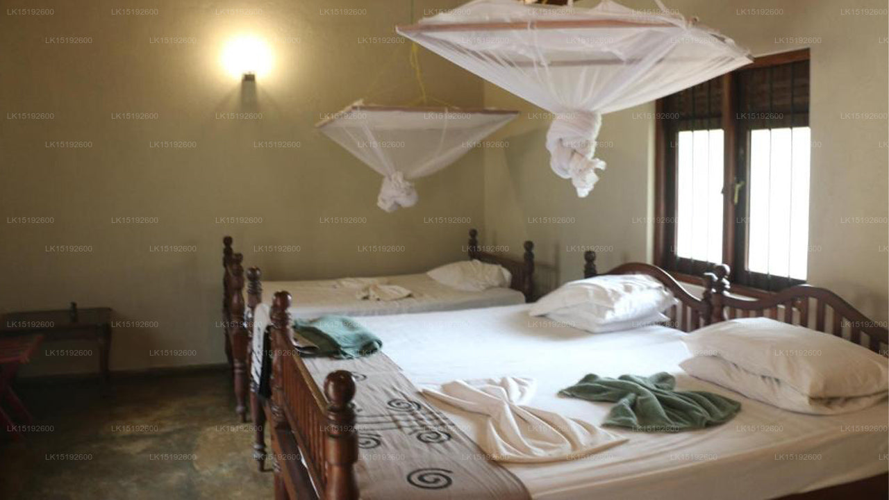 Wild Escape, Buttala