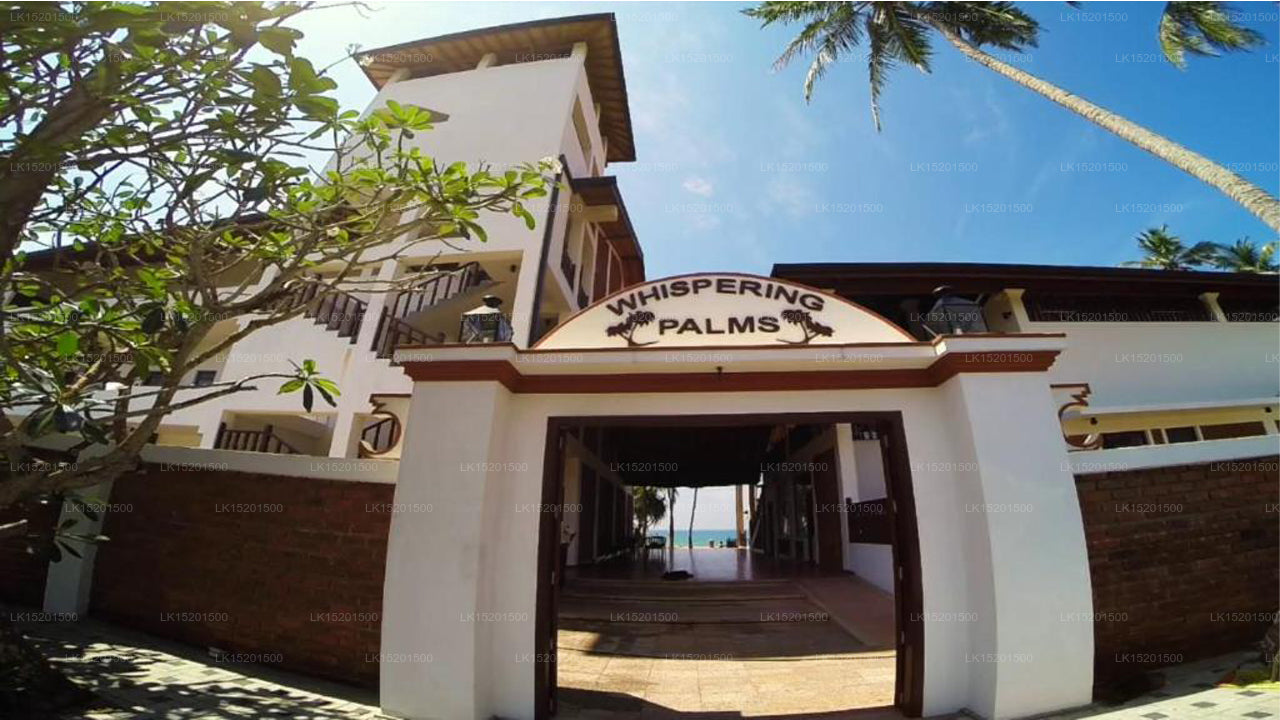 Whispering Palms Hotel, Induruwa