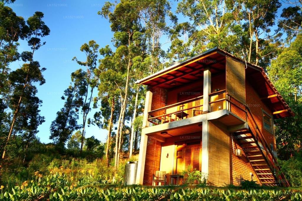 Коттеджи «Элла Окрич», Элла