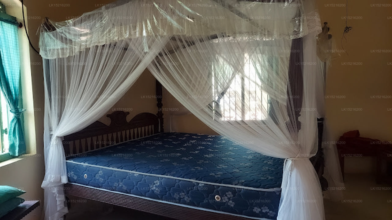 Cadjan sacred, Anuradhapura