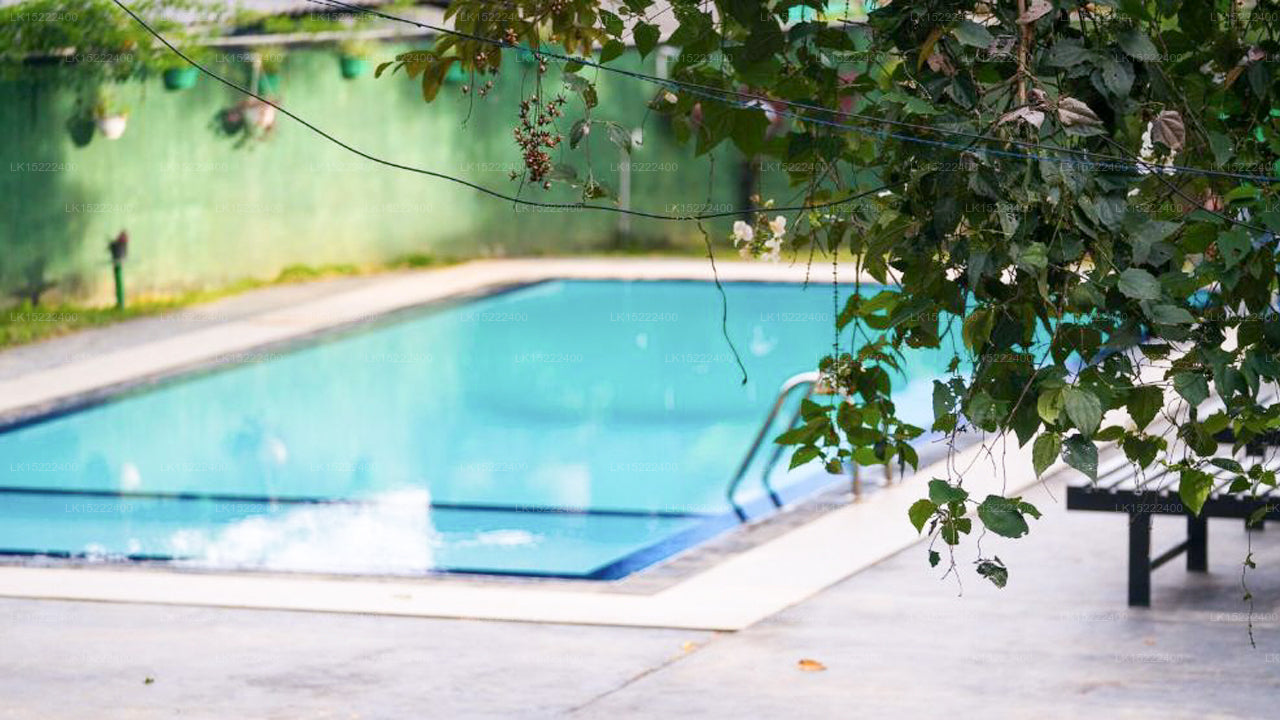 Forest Paradise, Ella