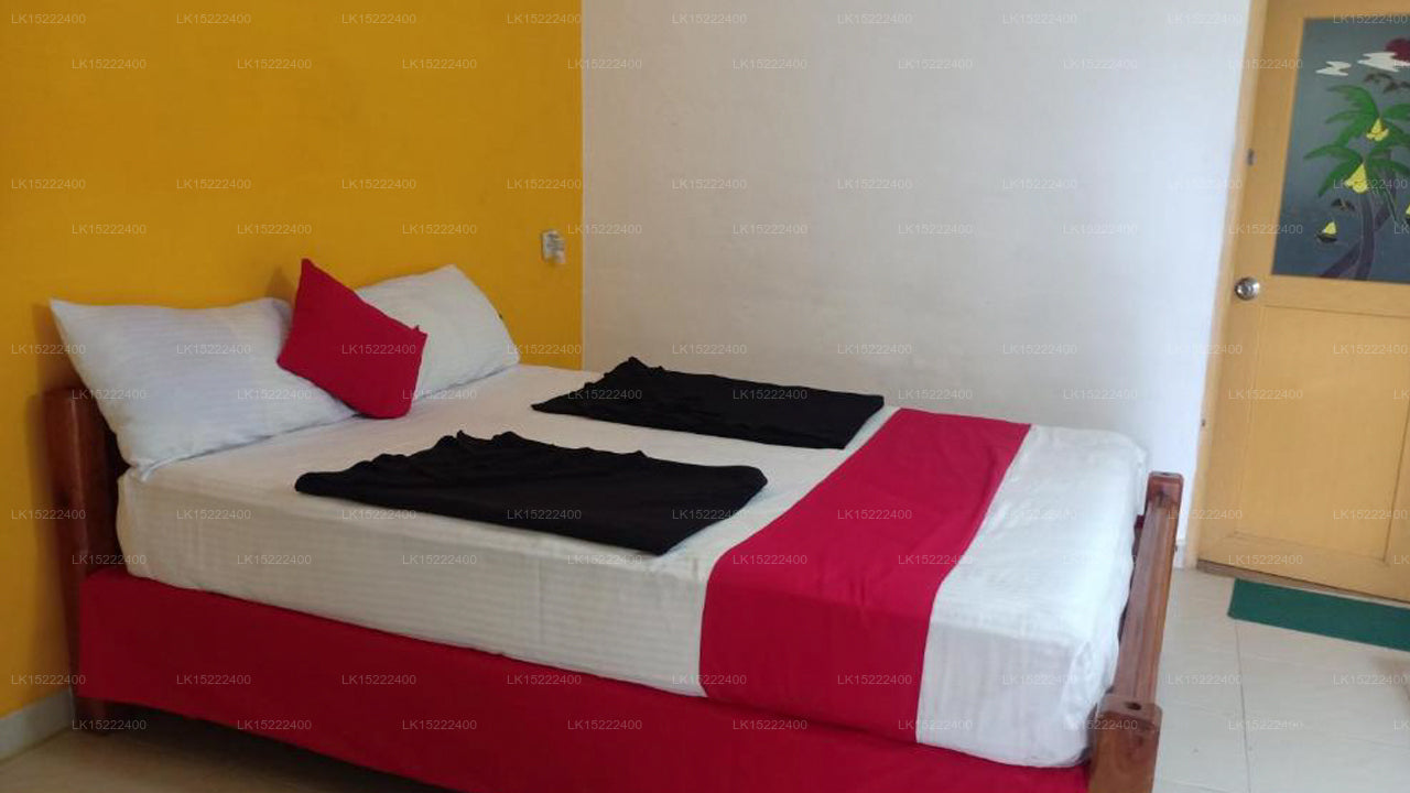 Forest Paradise, Ella