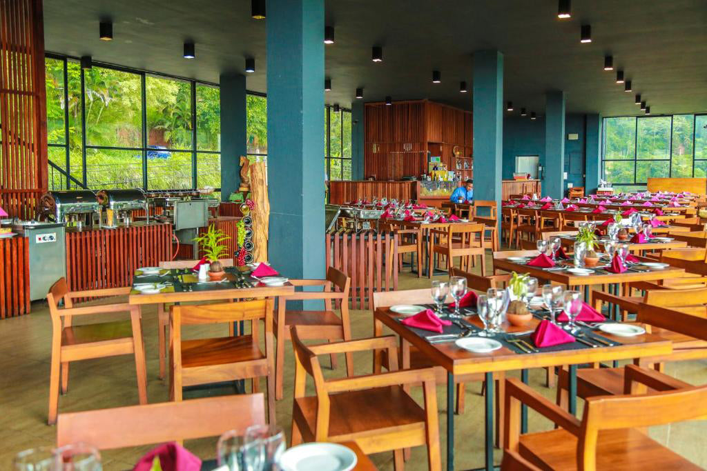 Чайный куст Oak Ray, Рамбода