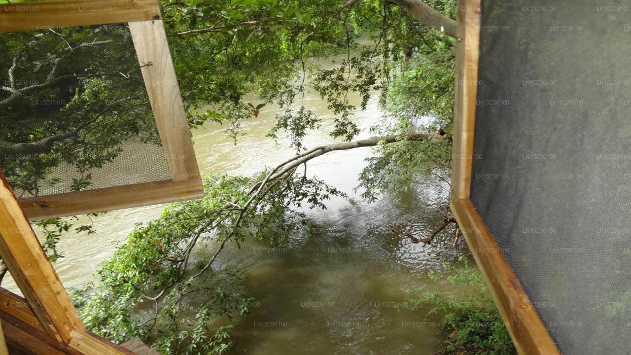 Villa Kumbuk Tree House, Tissamaharama