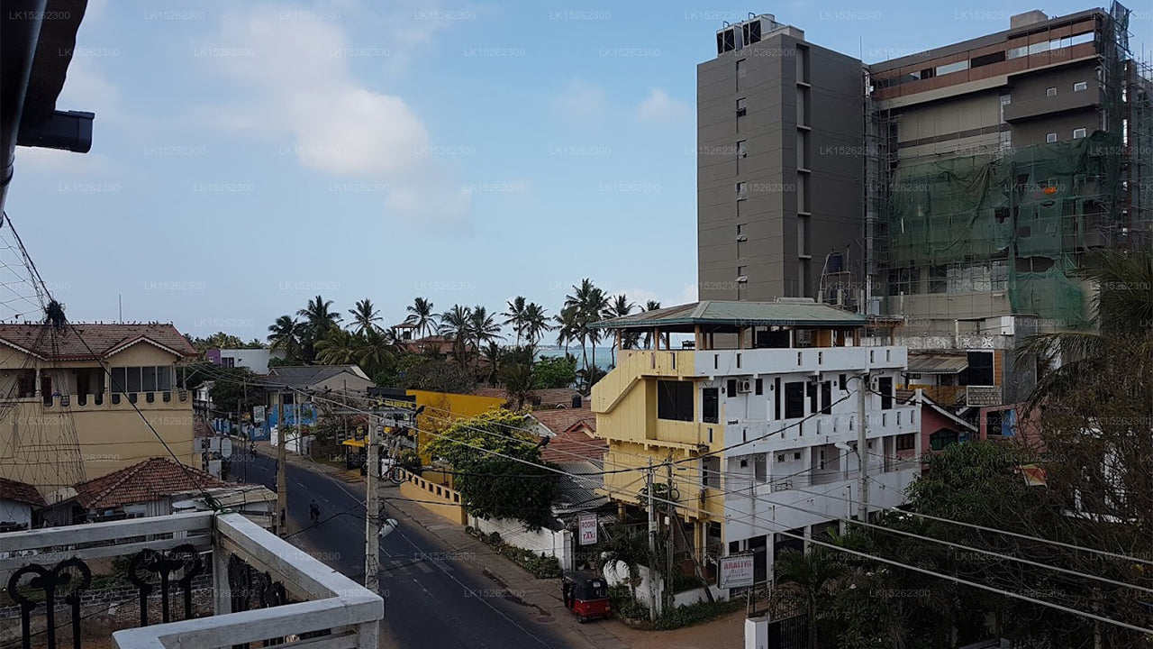 King Fish Guest House, Negombo