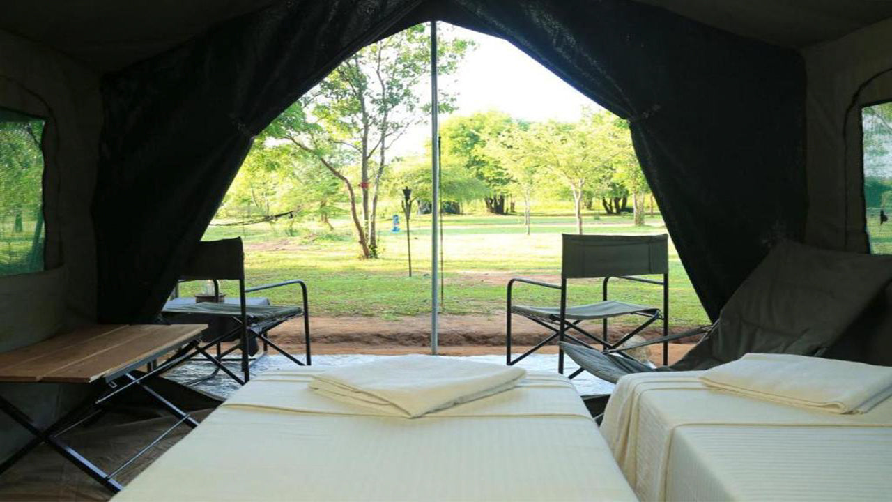 Big Game Camps and Lodges, Wilpattu
