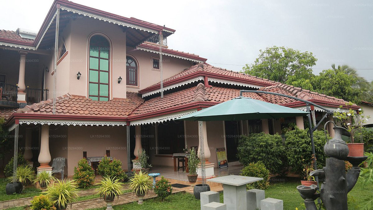 Shannon Rest, Negombo