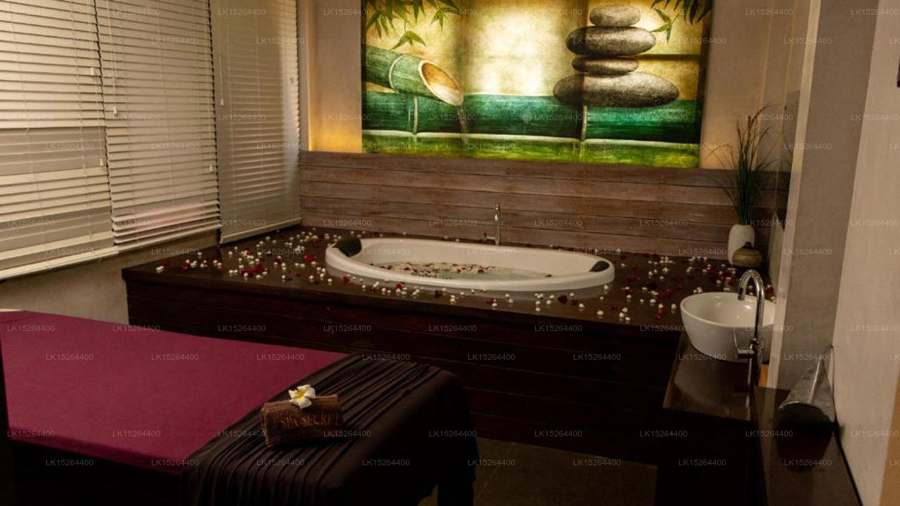 Спа-отель Terrace Green, Негомбо