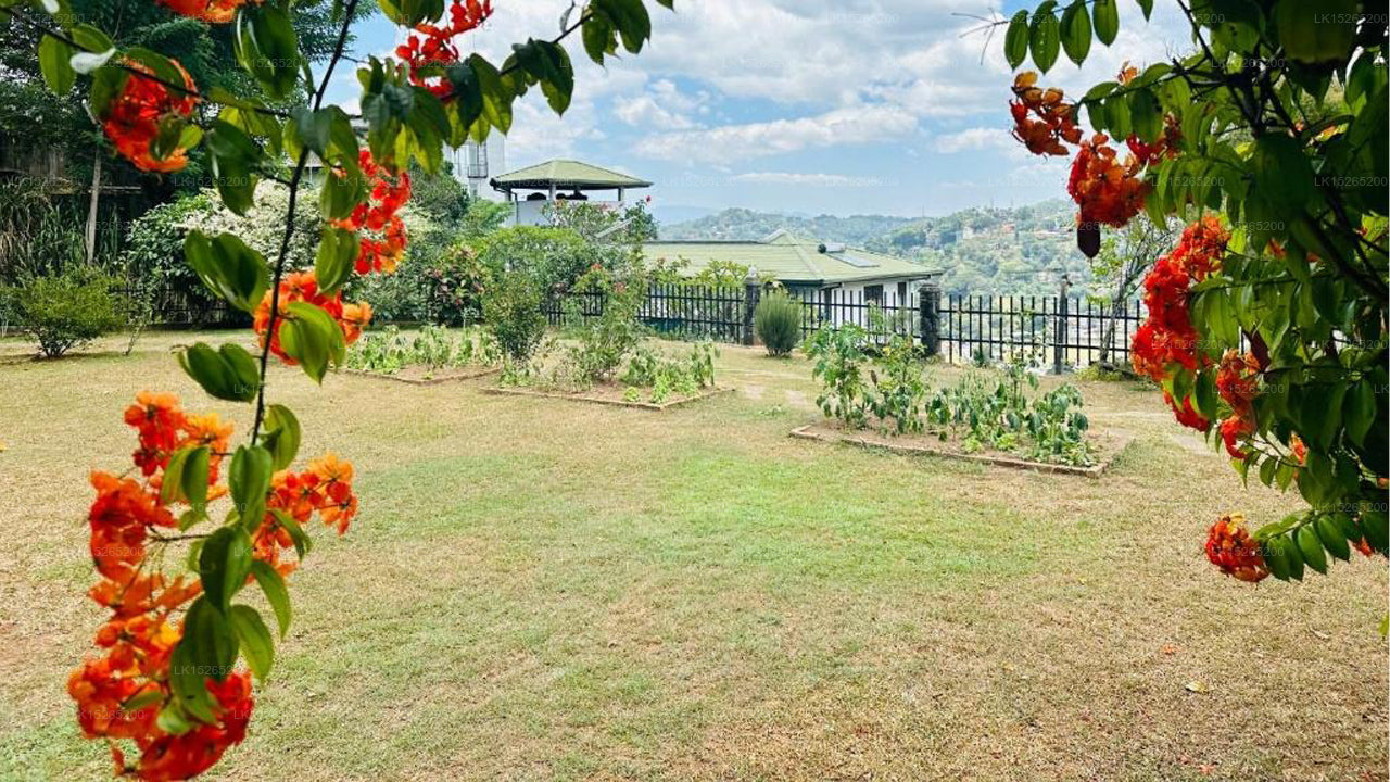 The Views Kandy, Kandy