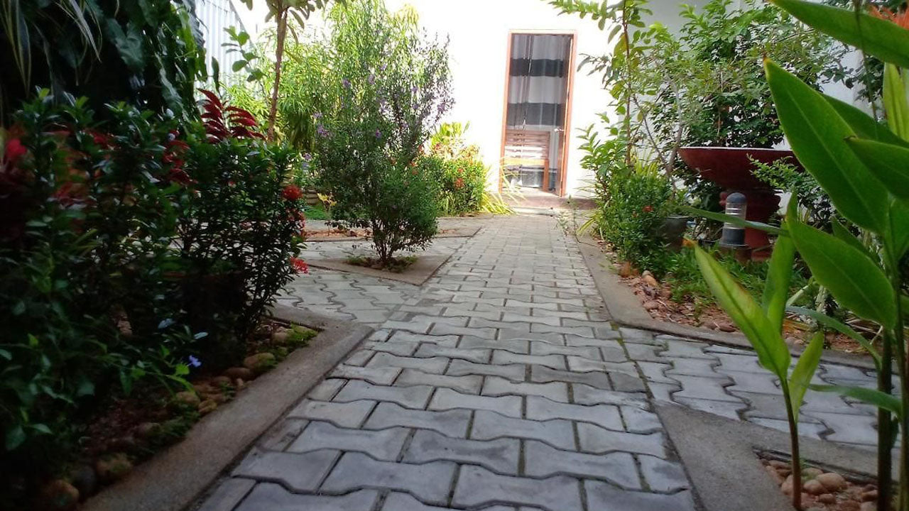 Соловей, Курунегала