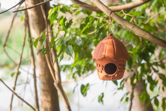 Вилла Рандони, Сидува