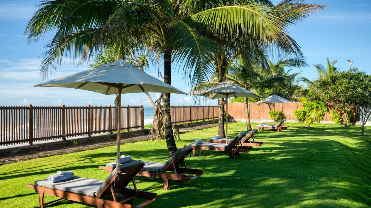 Ceu Ceylon, Kalametiya