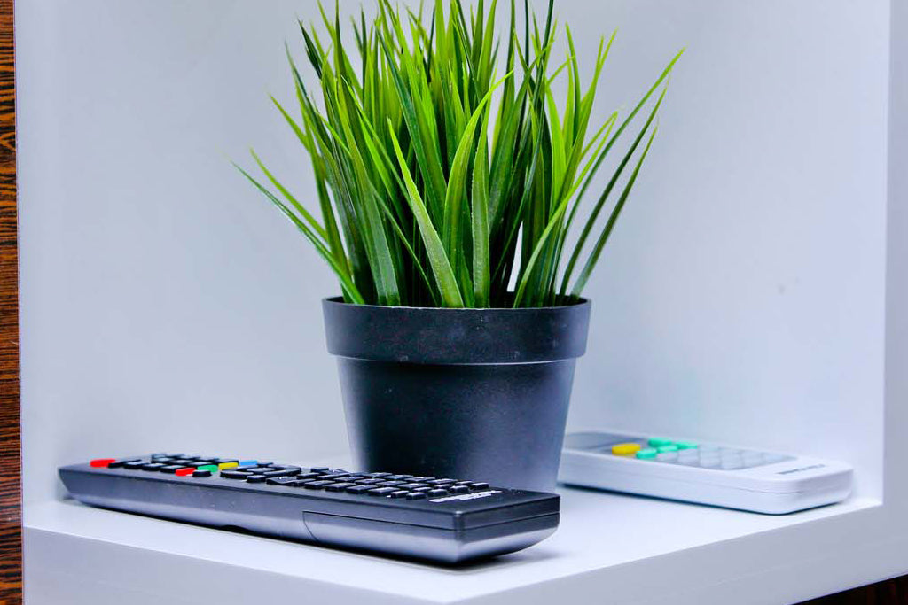 Отдых в Ваасале, Анурадхапура