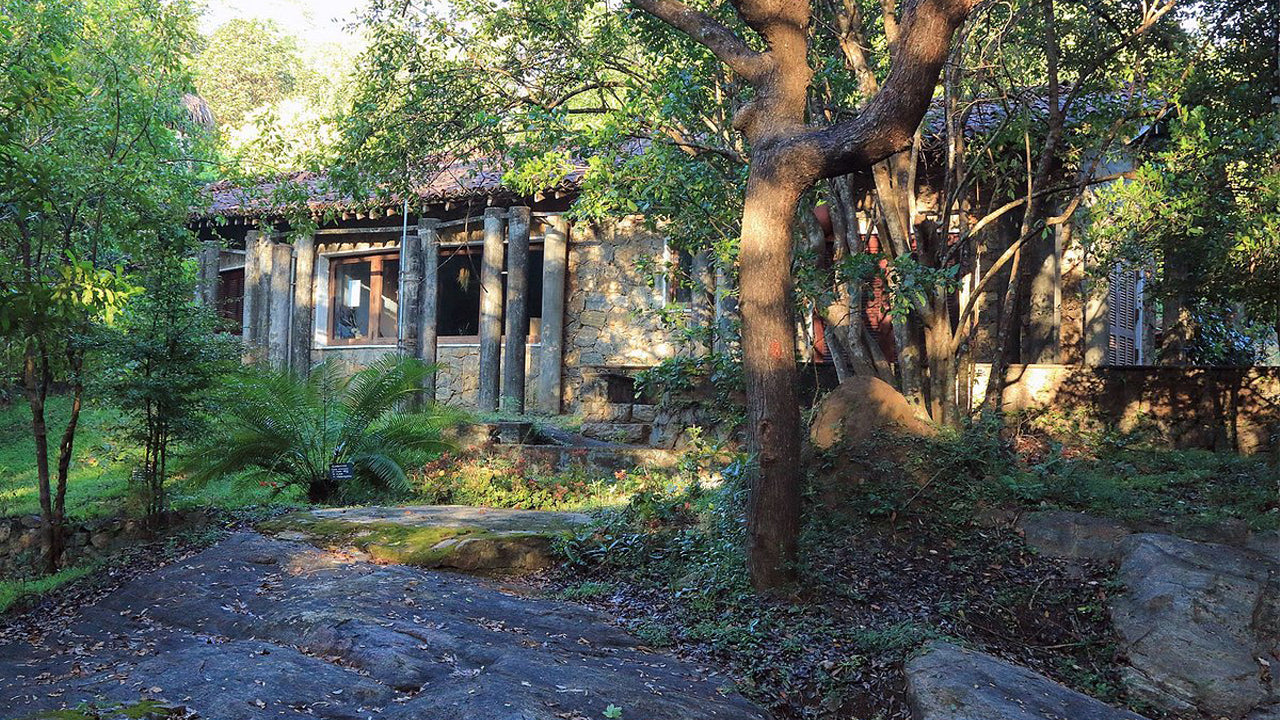 Дендрарий Пофама, Дамбулла