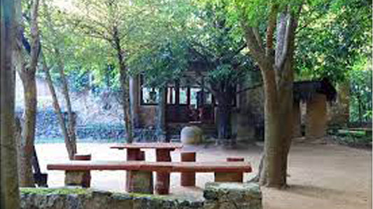 Дендрарий Пофама, Дамбулла