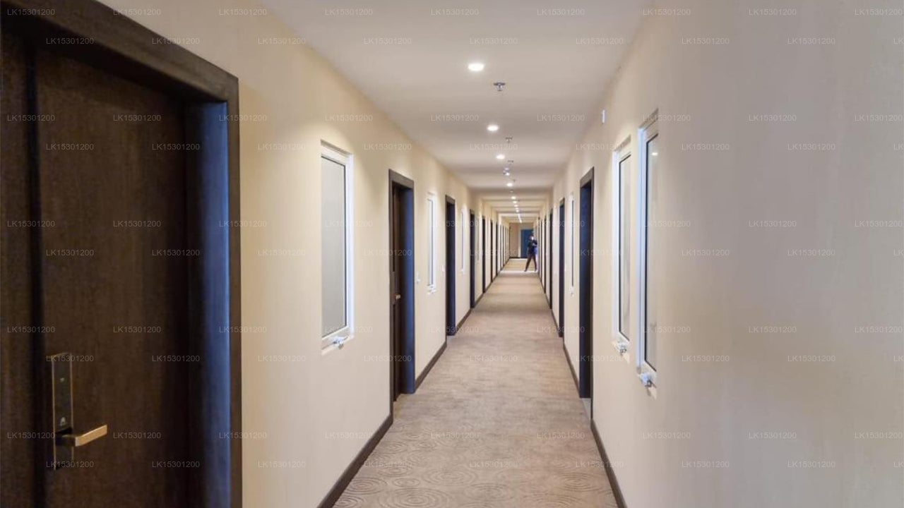 Luxury Apartment, Negombo