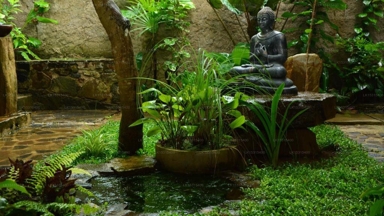 Goyambokka View Guesthouse, Tangalle