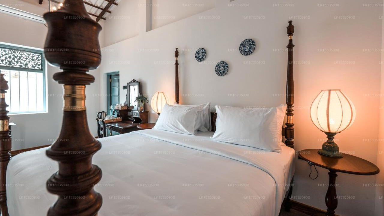 Moi Talpe by DBI, Talpe