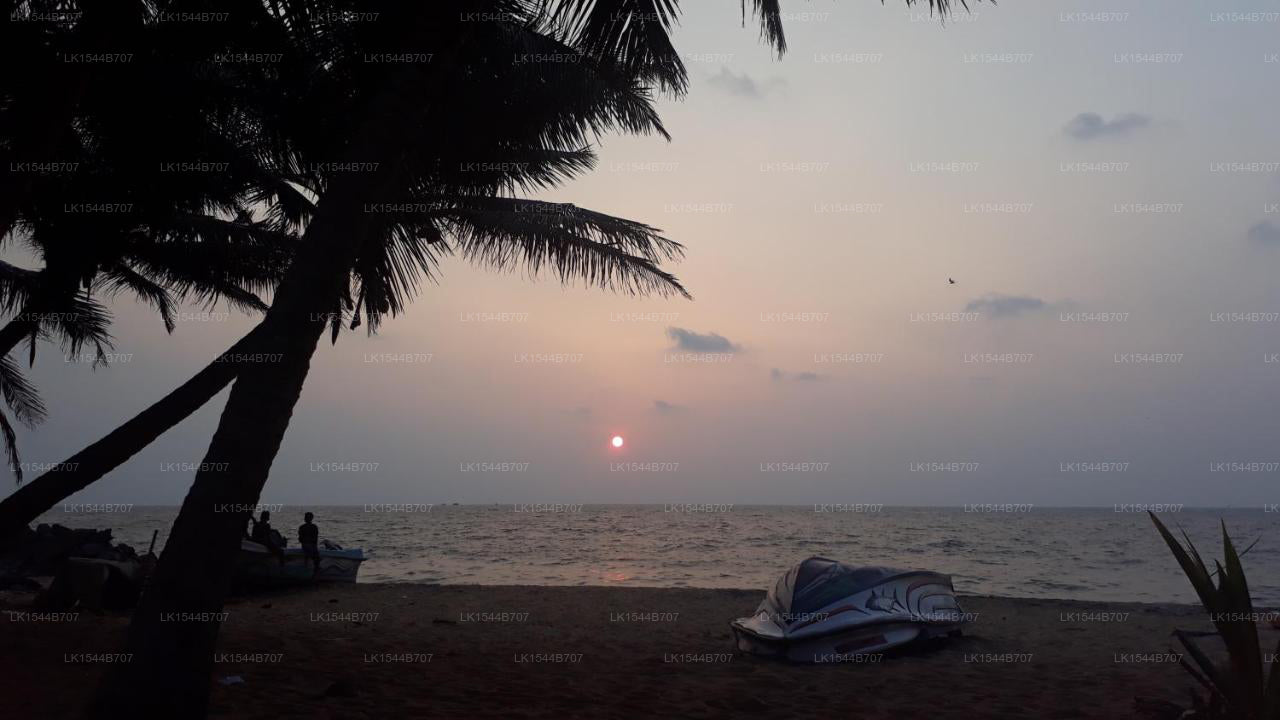 Beach House, Negombo
