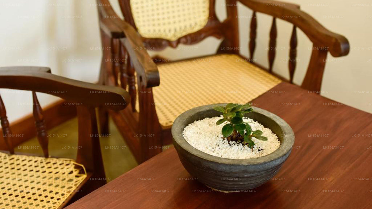 Лагуна Хиру, Негомбо