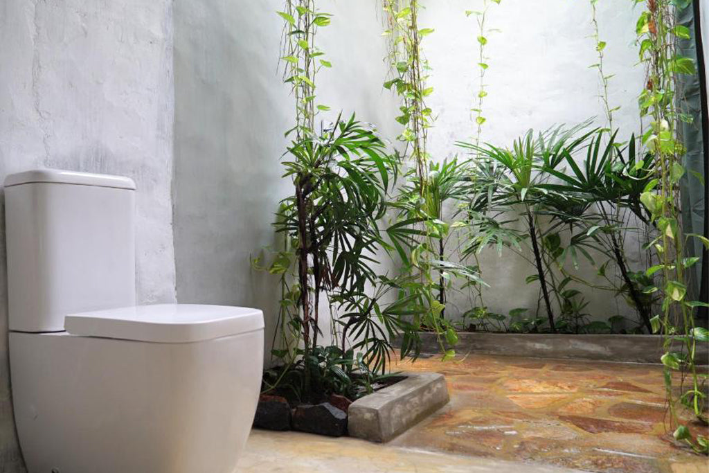 Домики для отдыха во сне, Хиккадува