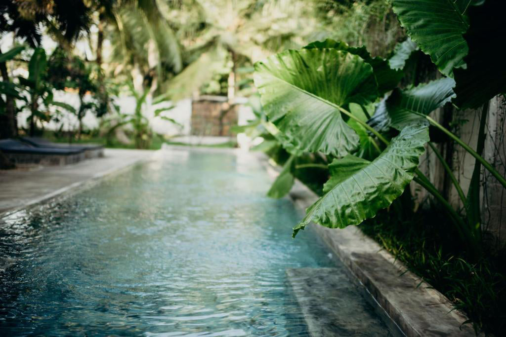 Домики для отдыха во сне, Хиккадува