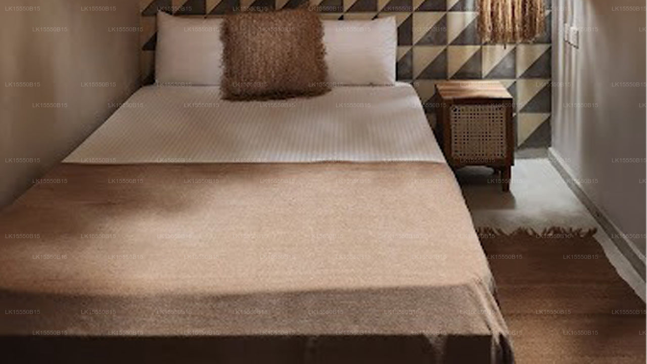 Layback Surf & Yoga Camp, Weligama