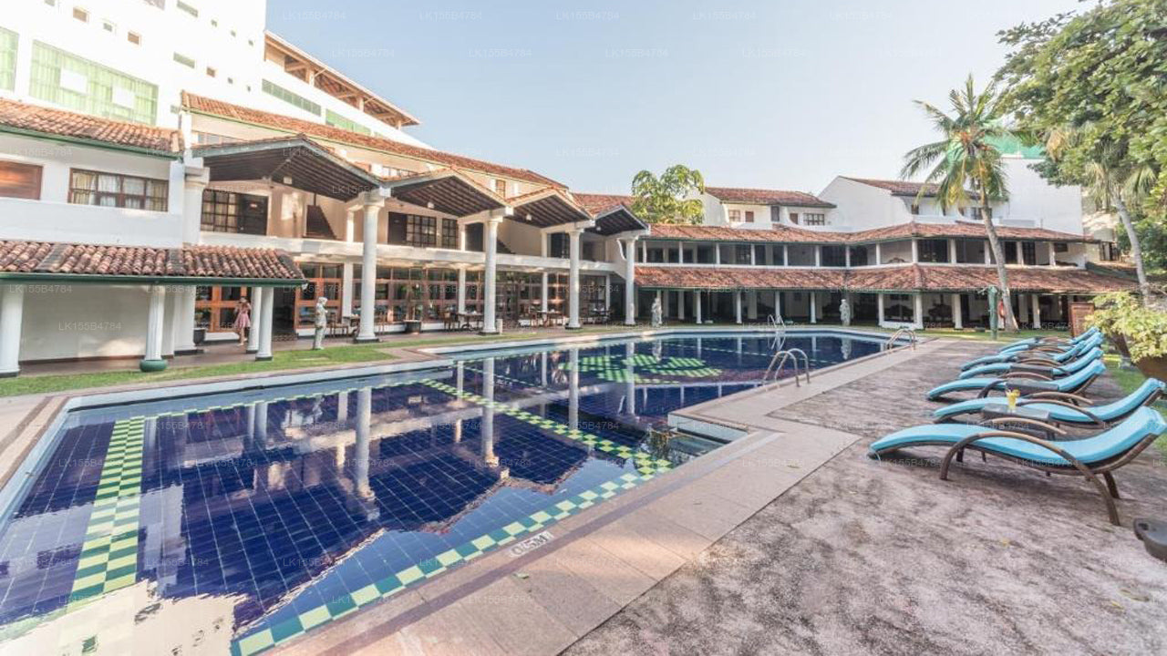 Palms, Mount Lavinia