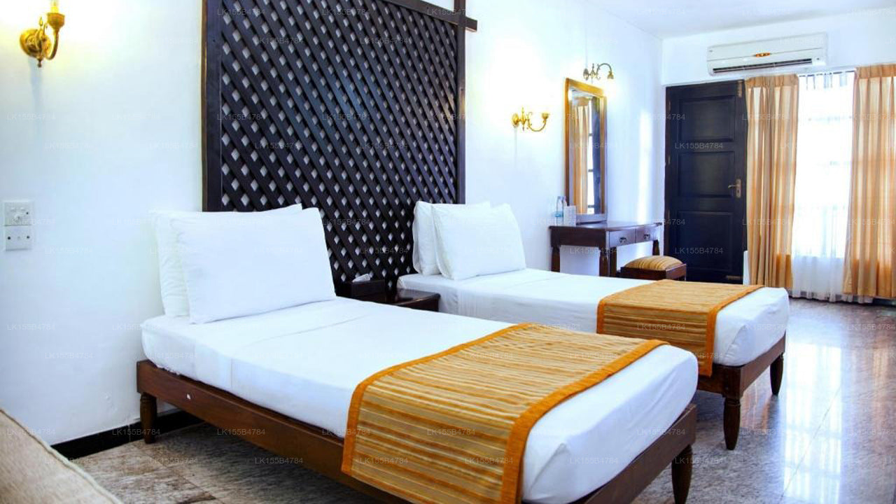 Palms, Mount Lavinia