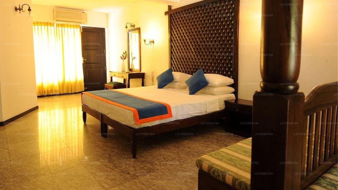 Palms, Mount Lavinia