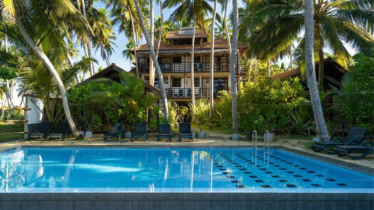 Seven Turtles, tangalla