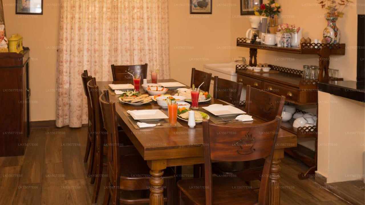 The Oliver Tree Bungalow, Kandy