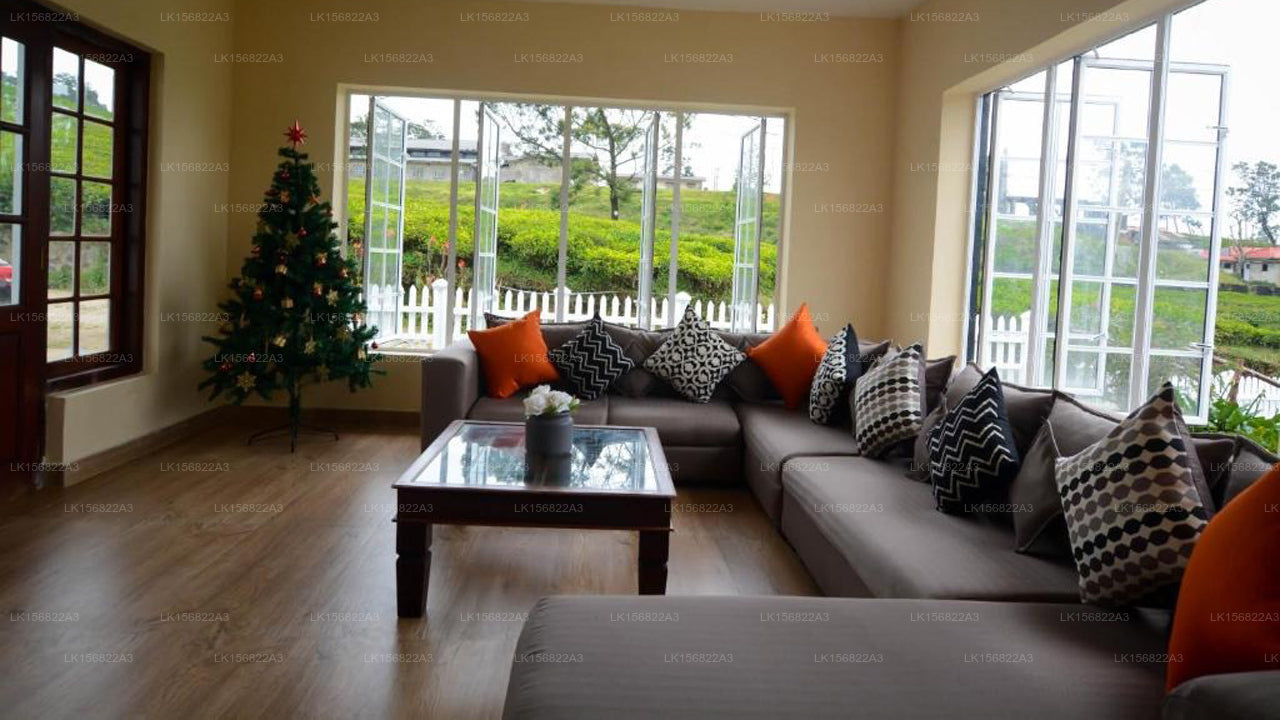 The Other Corner, Galaha