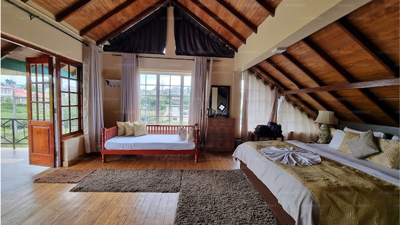 The Other Corner, Galaha