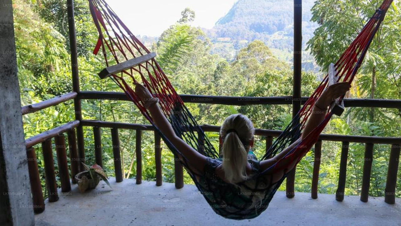 Nice View Homestay, Ella