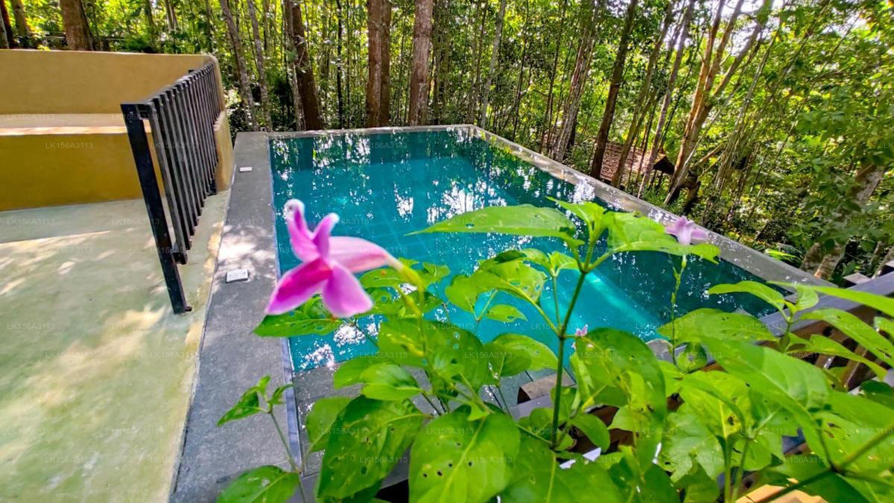 Citron Villa, Habaraduwa