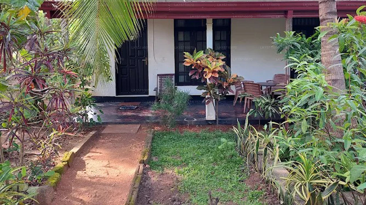Lovely lodge & Hostel, Sigiriya