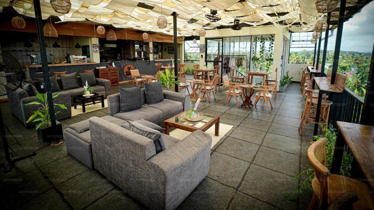 Scenic Bay Hotel, Weligama