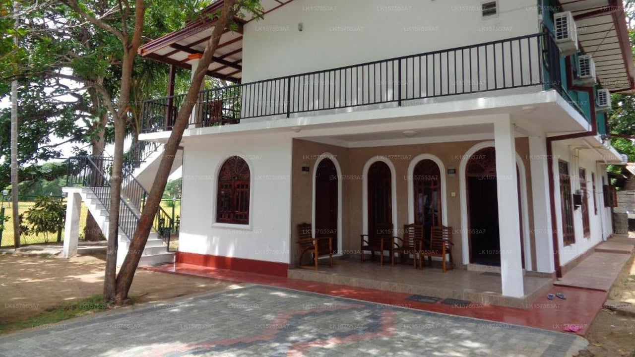 Man Guest, Polonnaruwa