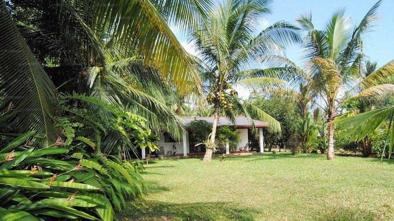 Mangrove Villa, Bentota