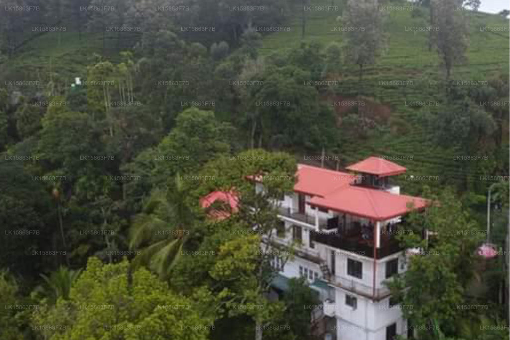 Вилла 95, Рангала, Канди