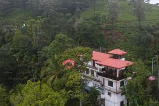 Вилла 95, Рангала, Канди